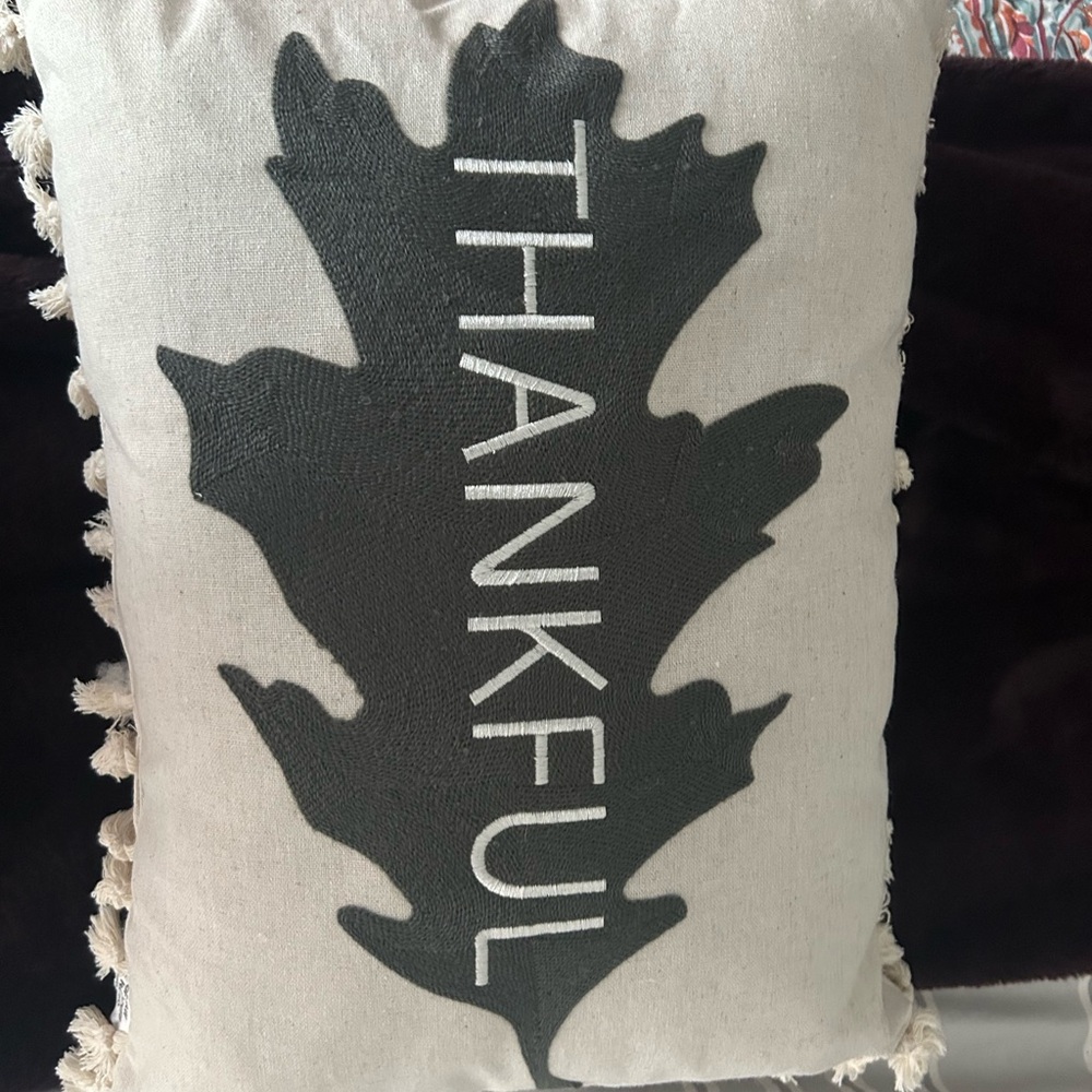 New Thankful pillow - NWOT - Picture 4 of 4